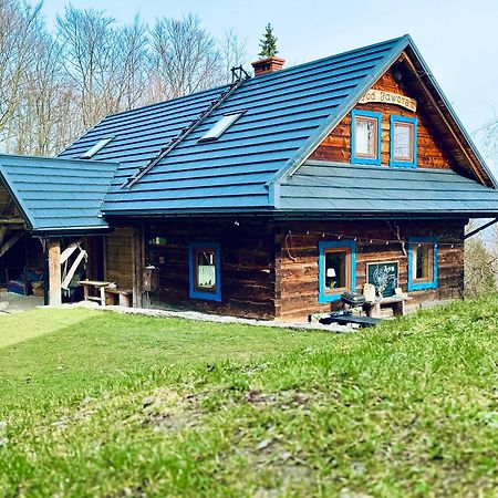 Chata Pod Jaworem Вісла Екстер'єр фото